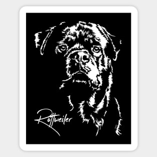 Proud Rottweiler dog portrait Sticker